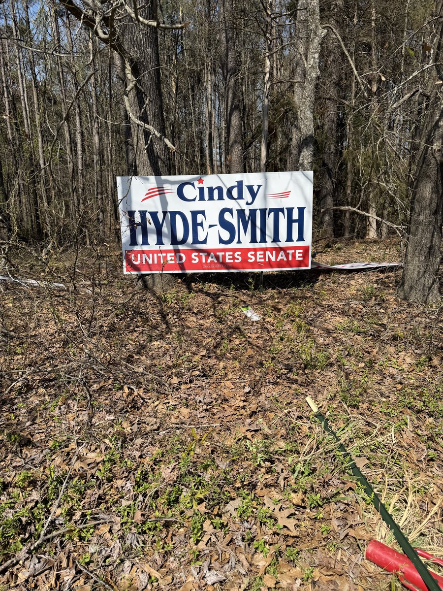 Cindy Hyde-Smith tweet media