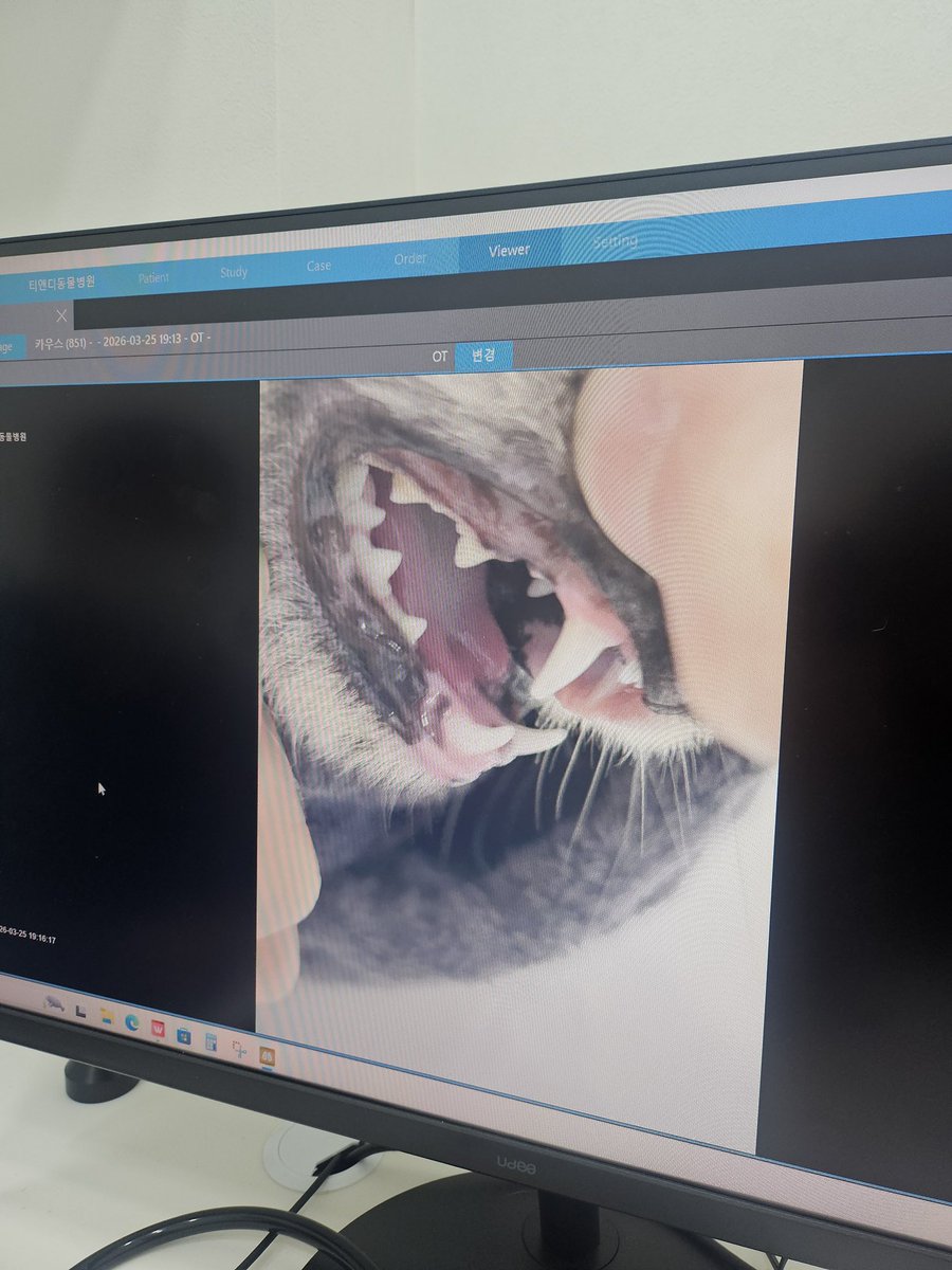 느리지만 이루는 자 tweet media