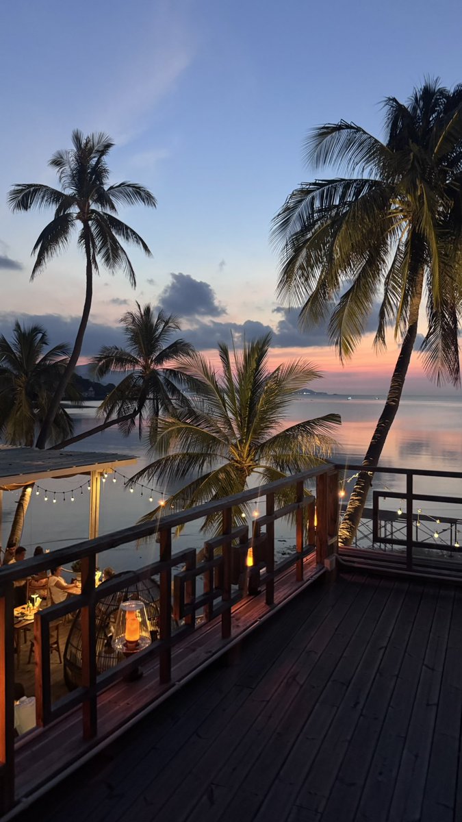 ecstatic wanderer tweet media