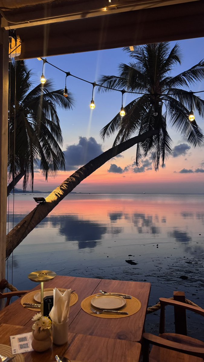 ecstatic wanderer tweet media