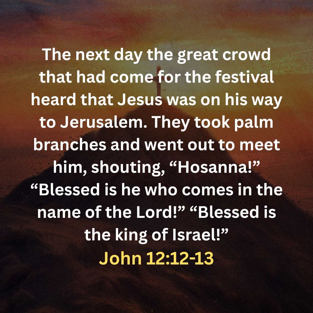 The next day the great crowd that had come for the festival heard that Jesus was on his way to Jerusalem. They took palm branches and went out to meet him, shouting, “Hosanna!” “Blessed is he who comes in the name of the Lord!” “Blessed is the king of Israel!”
John 12:12-13