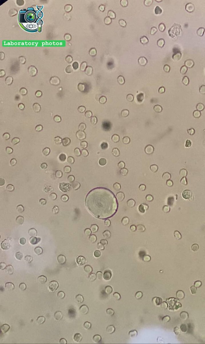 Laboratory photos tweet media