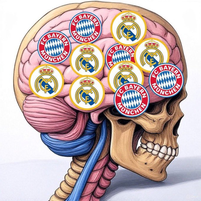 التيتان 🇦🇷🇩🇪 tweet media