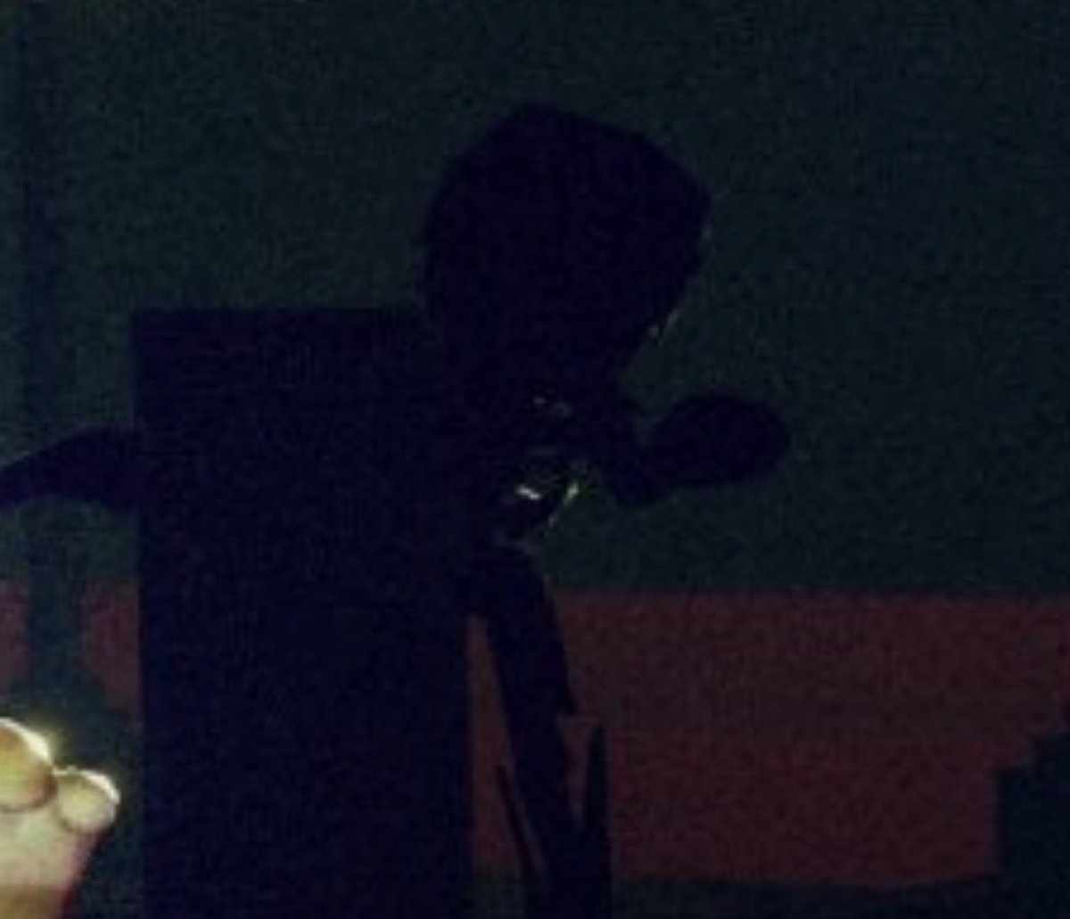 Max Thorn tweet media