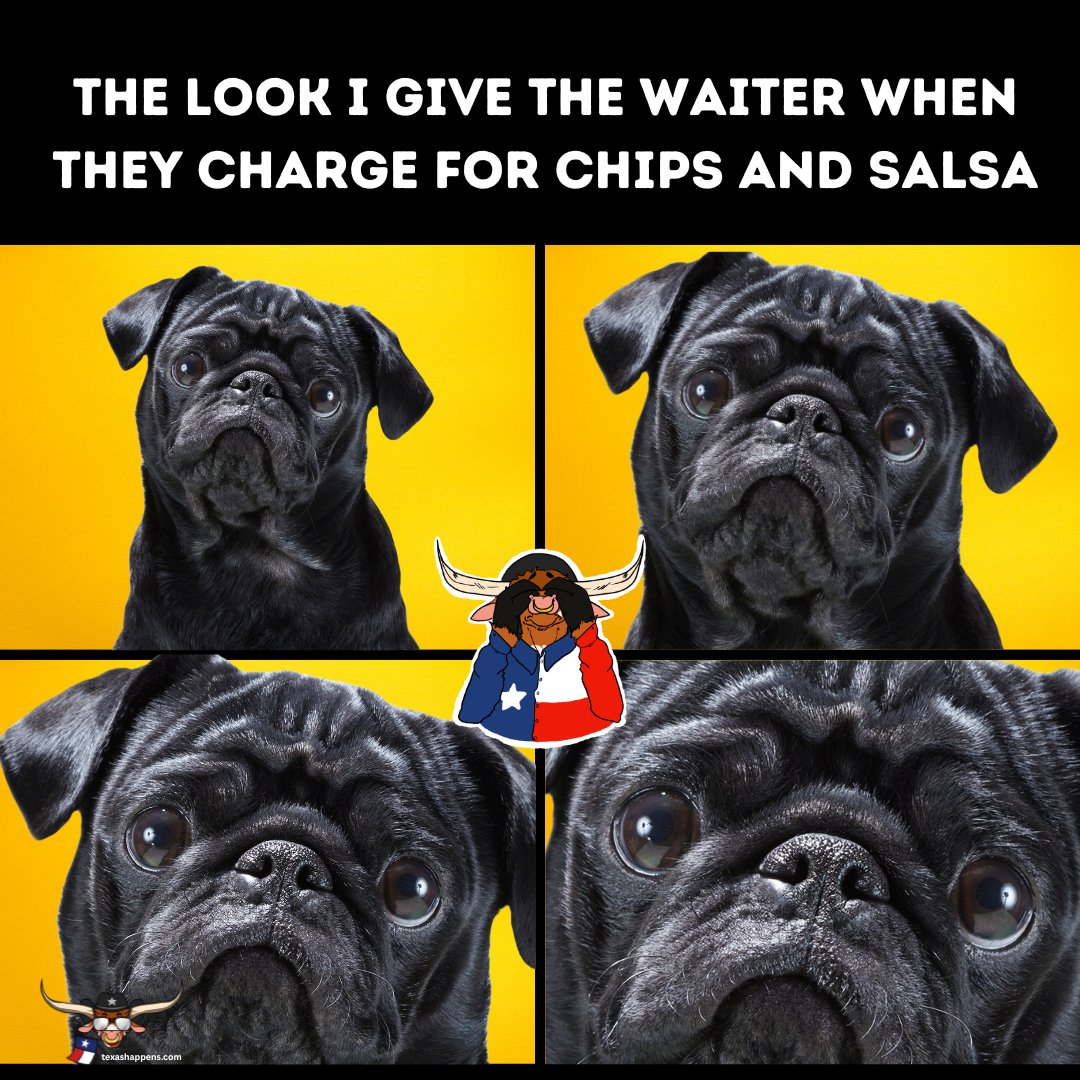 TXHappens's tweet image. Y'all who would charge for that!?!?  Probably someone from New York City... 🤣🤣🤣
#chips #salsa #chipsandsalsa