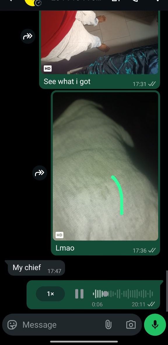 Azaman🕊️ tweet media