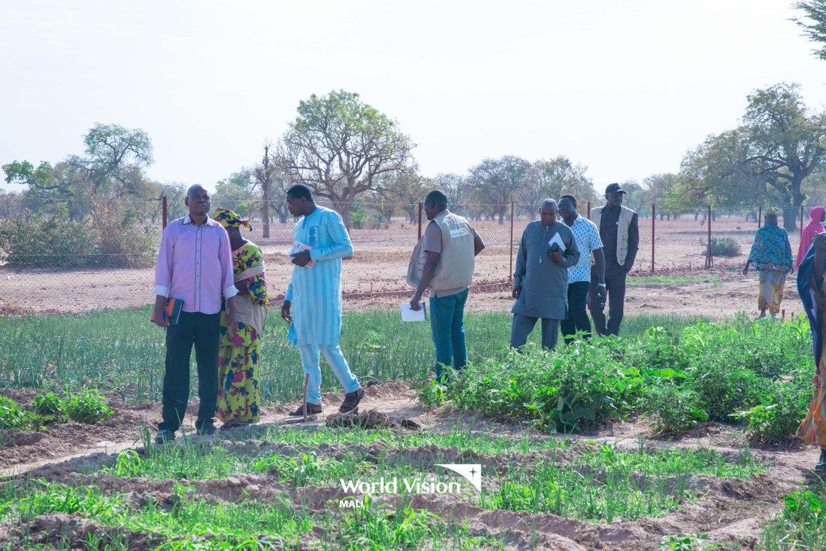 World Vision Mali tweet media