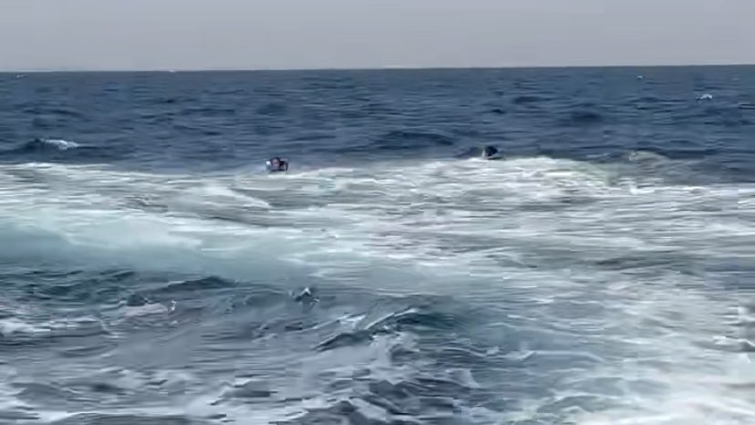 غَيد tweet media