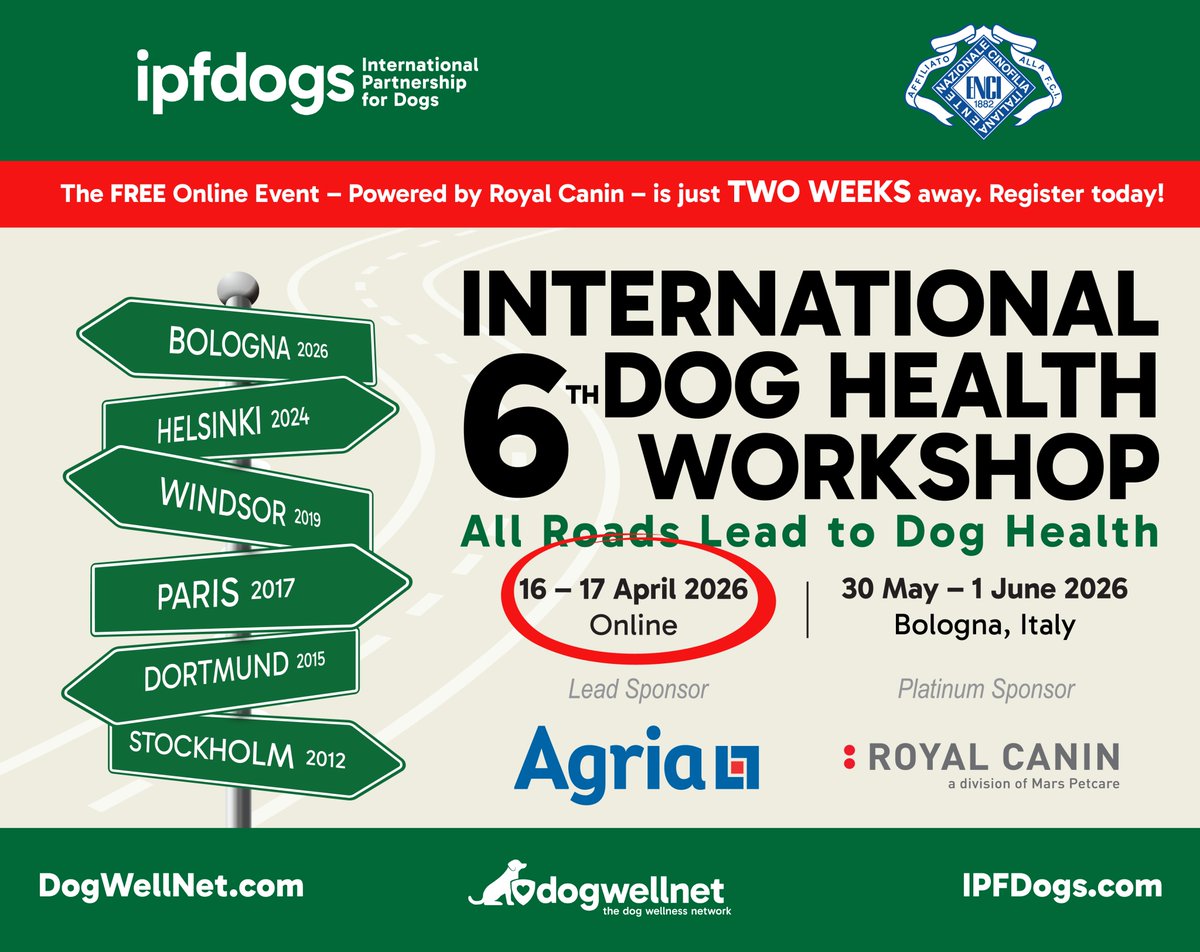 The International Partnership for Dogs (IPFDogs) tweet media