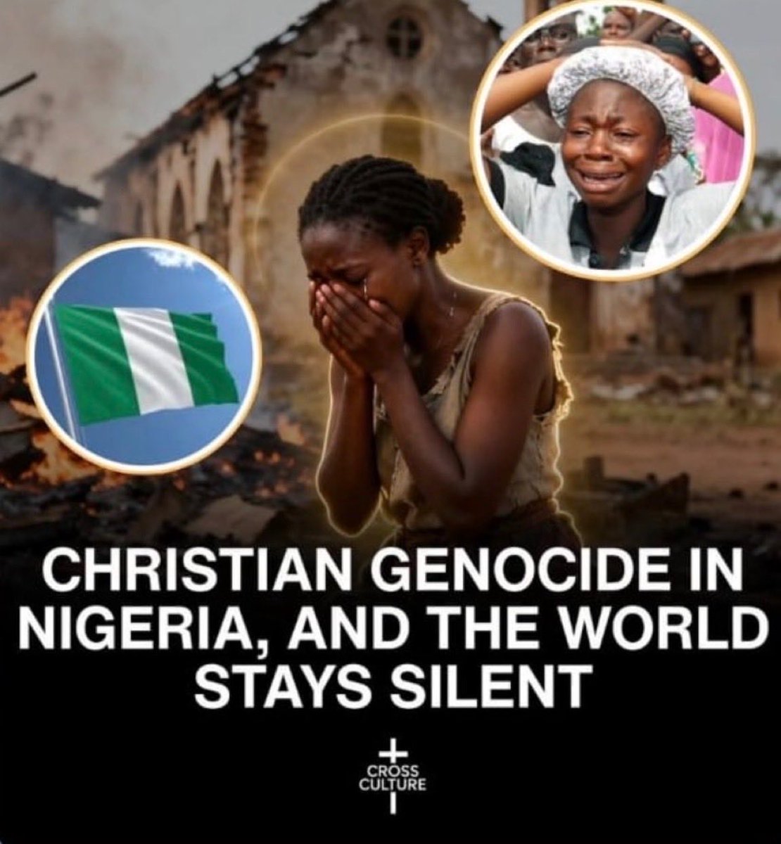 Liza Rosen tweet media