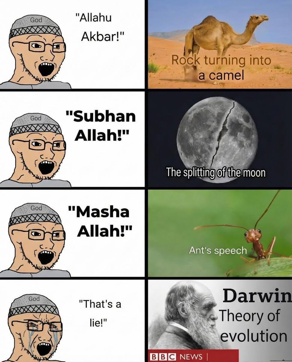 JoonBoon tweet media