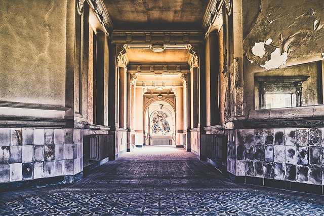 Tracey Miller tweet media