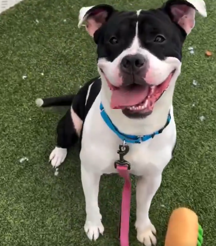 Not the Same tweet media