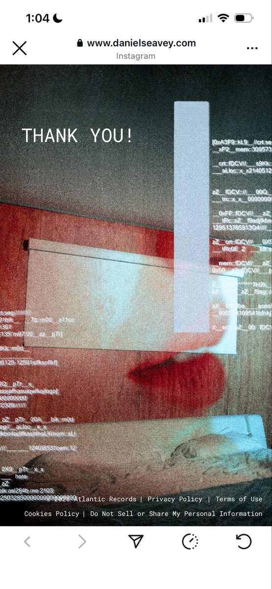 mary 🐾 tweet media