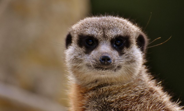 LaurenLott85651's tweet image. 곁에 있어줘서 감사해 Elio cảm ơn vì đã không bỏ 🪄 rơi mình شكراً لمساندتك 💫 الصادقة

#FitnessGoals2025 #FutureIsNow