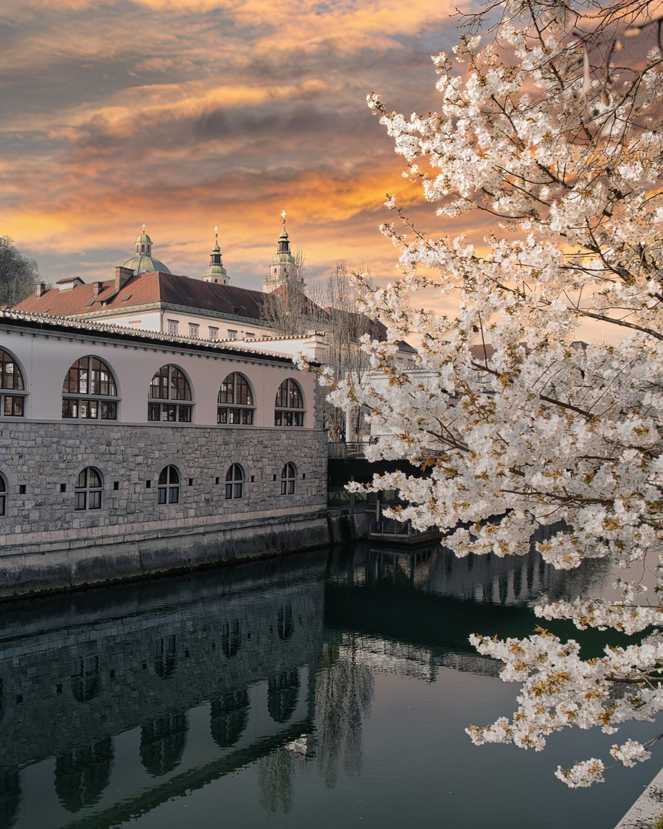 Exploring Slovenia tweet media