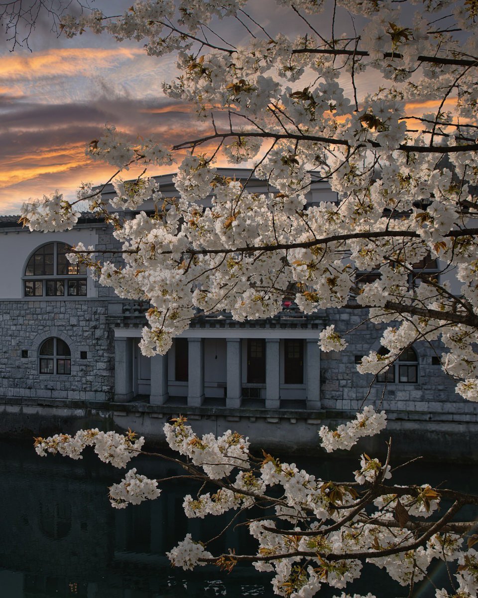 Exploring Slovenia tweet media