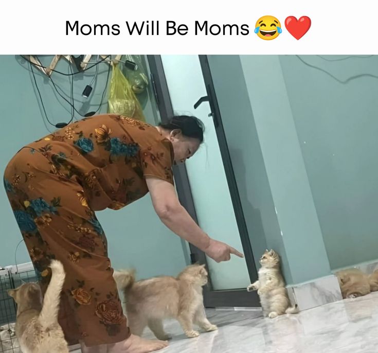 The pets only 🐾 tweet media