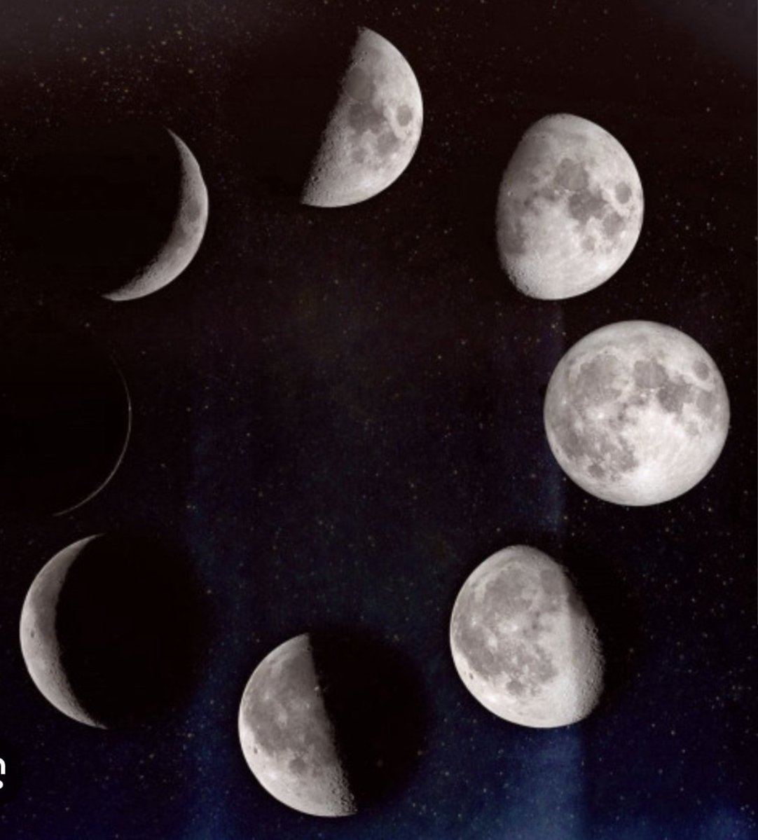 EBRU ✈️ tweet media