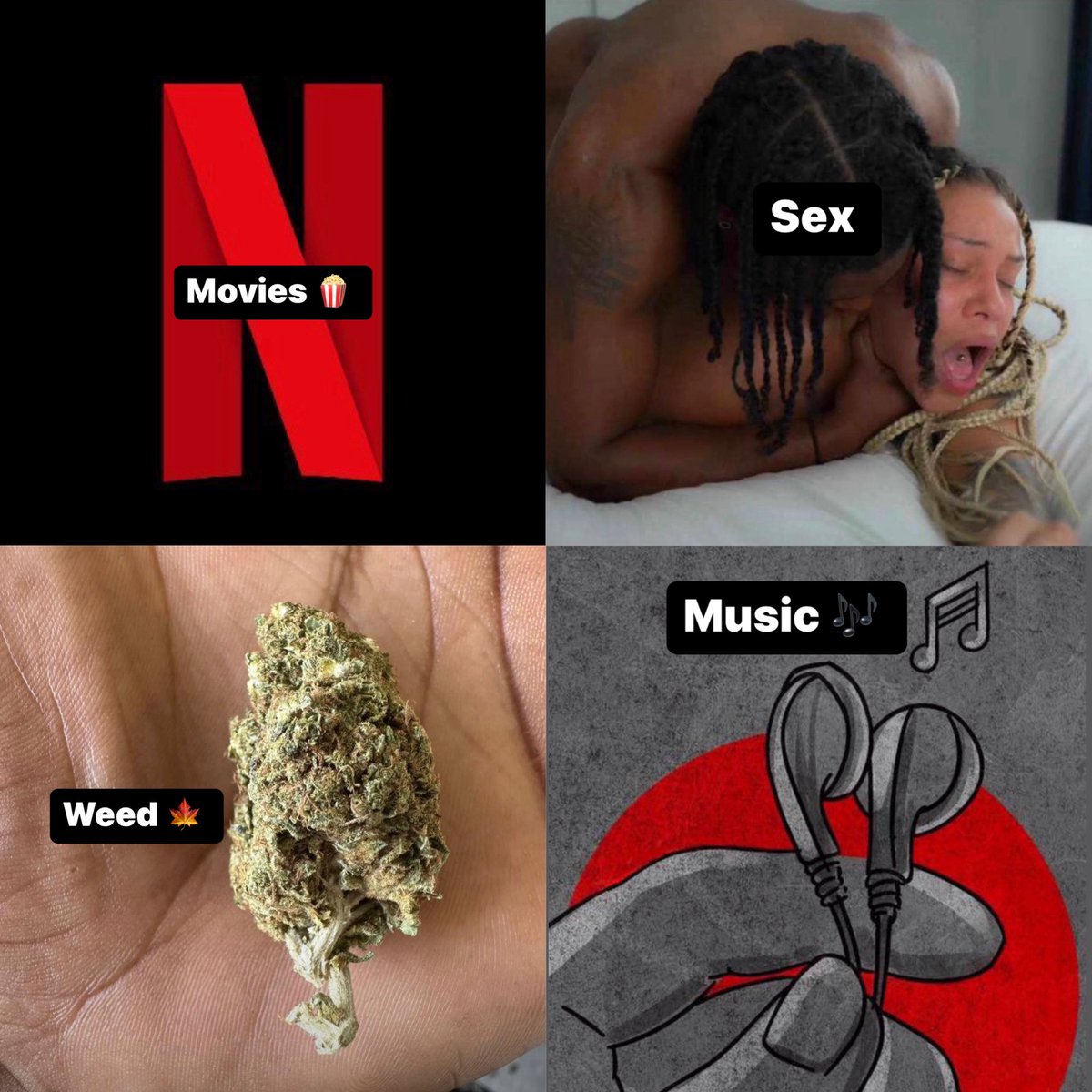 wizo_sylvester tweet media