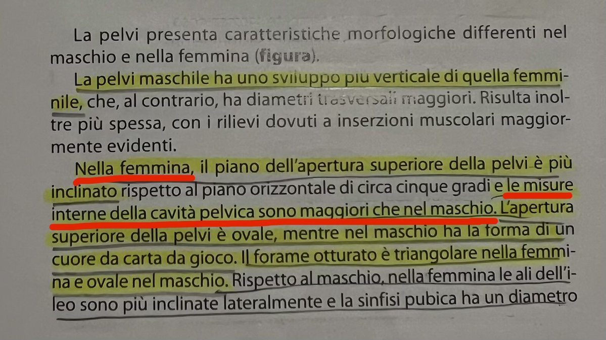 auri 🍂 tweet media