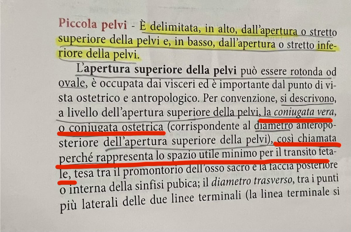 auri 🍂 tweet media