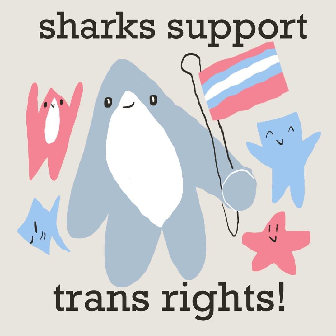 🦈TacoShark 🦈 🔜 MEGAPLEX 2024 tweet media