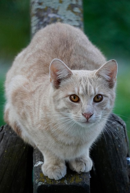 Amy Davis tweet media