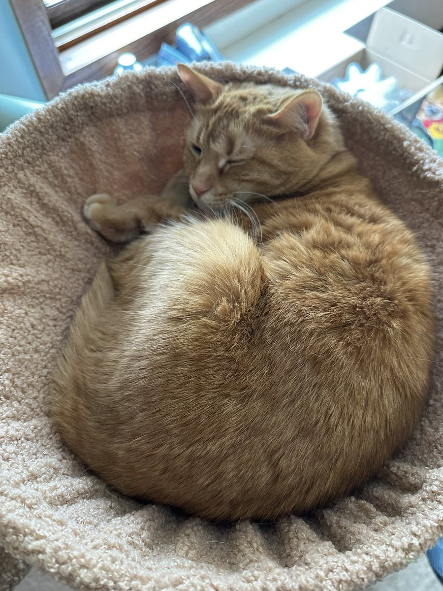 Lawrencium tweet media