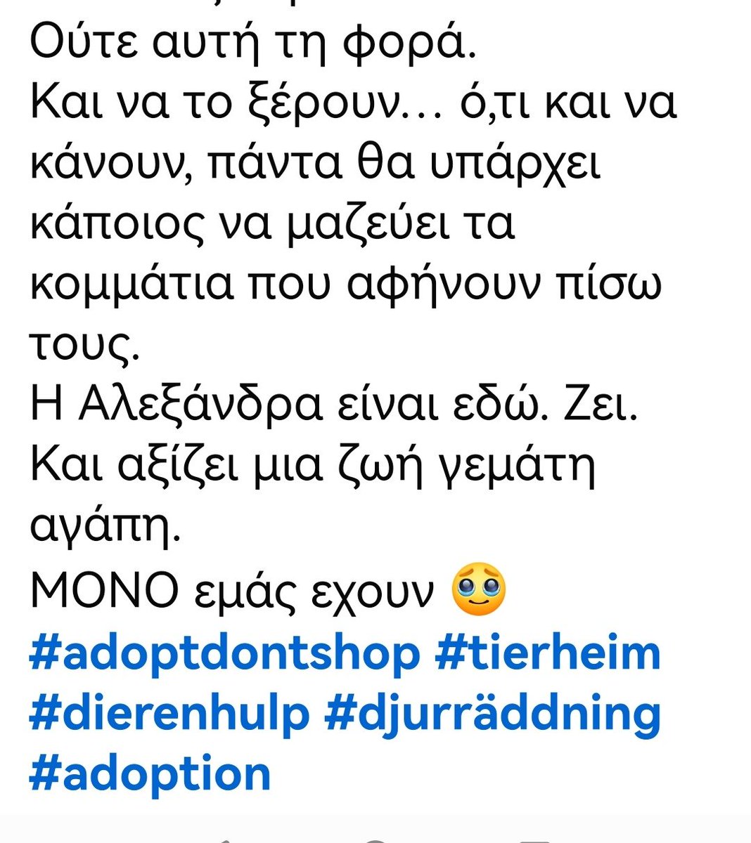 Christinaliroudia tweet media