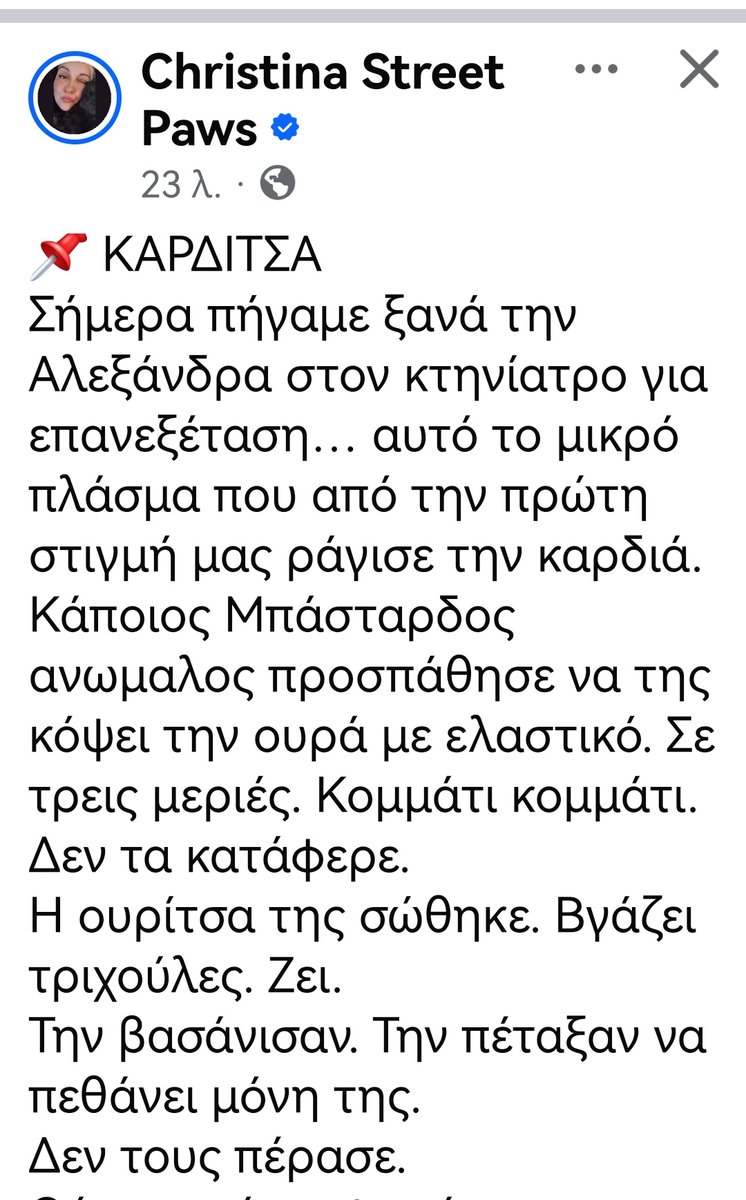 Christinaliroudia tweet media