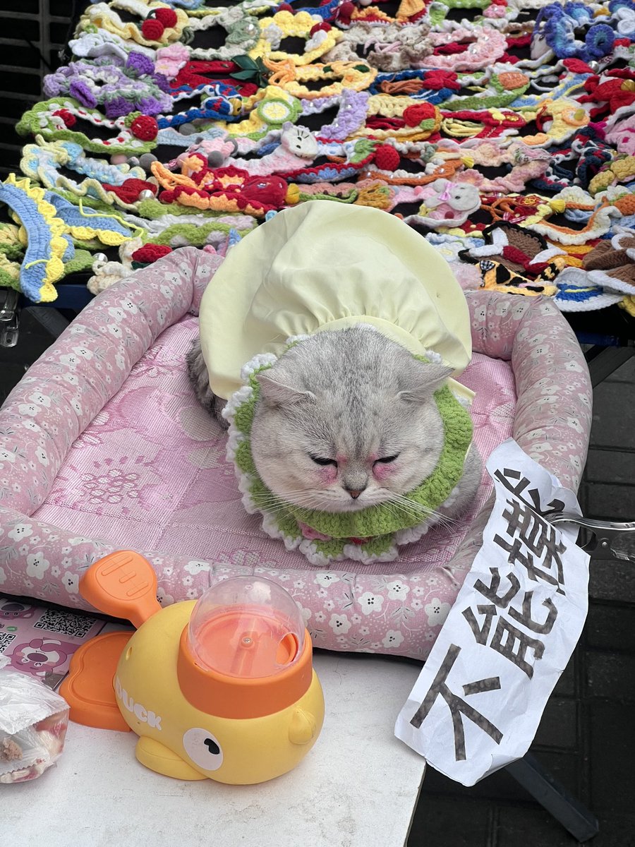 废熊Asphyxia tweet media