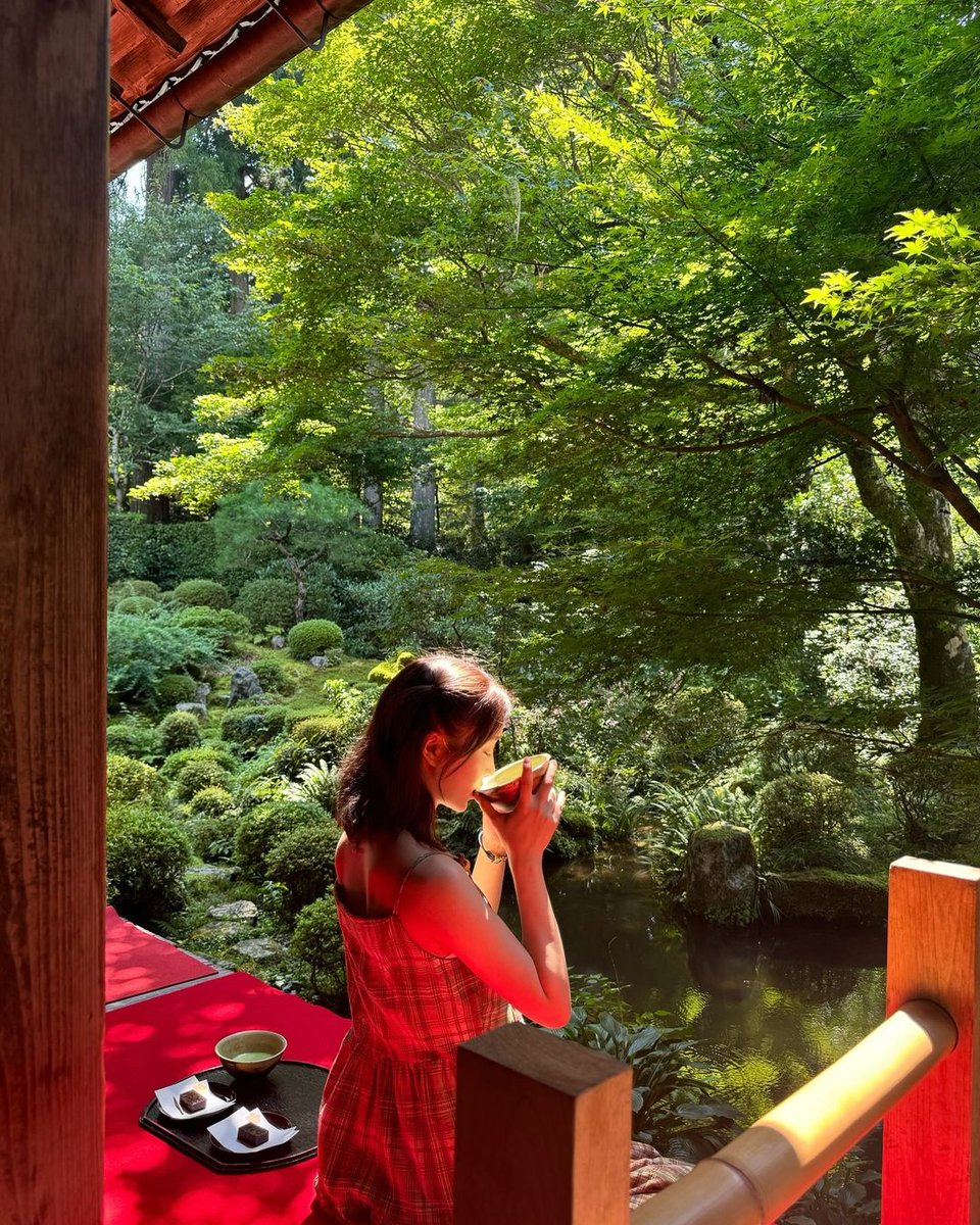 ️️ ️️ ️️ ️️ ️️ ️️ ️️ tweet media