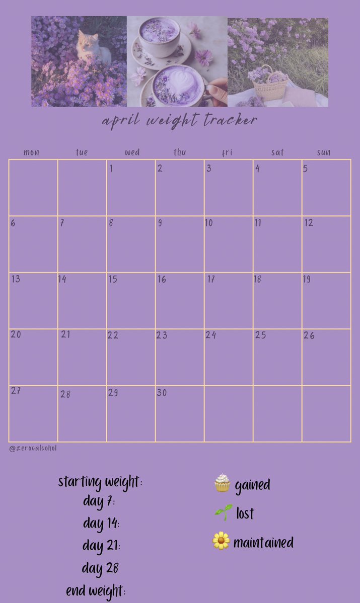 maggie ♛ tweet media