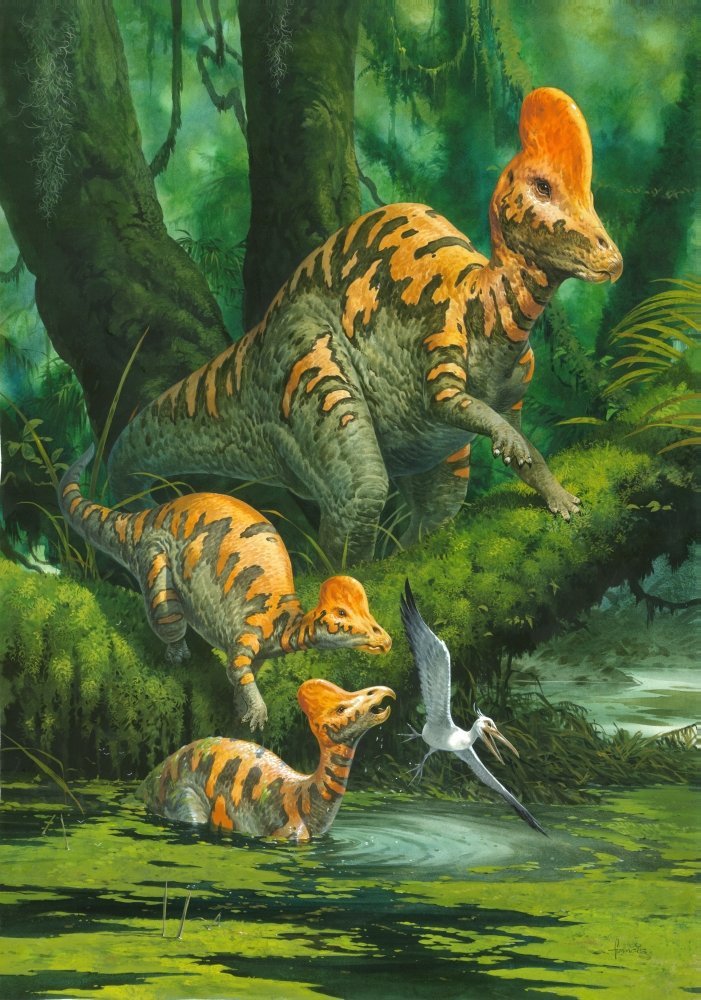 Felipe Humboldt 🦕 tweet media