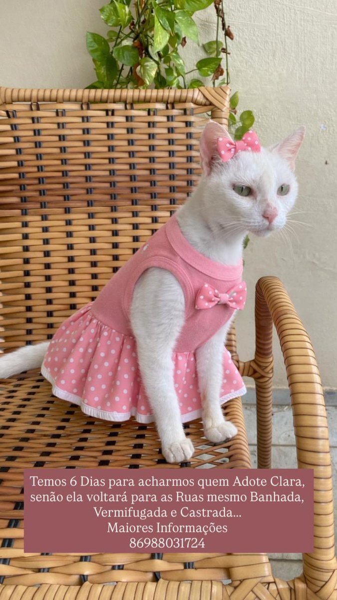 Hariframes tweet media