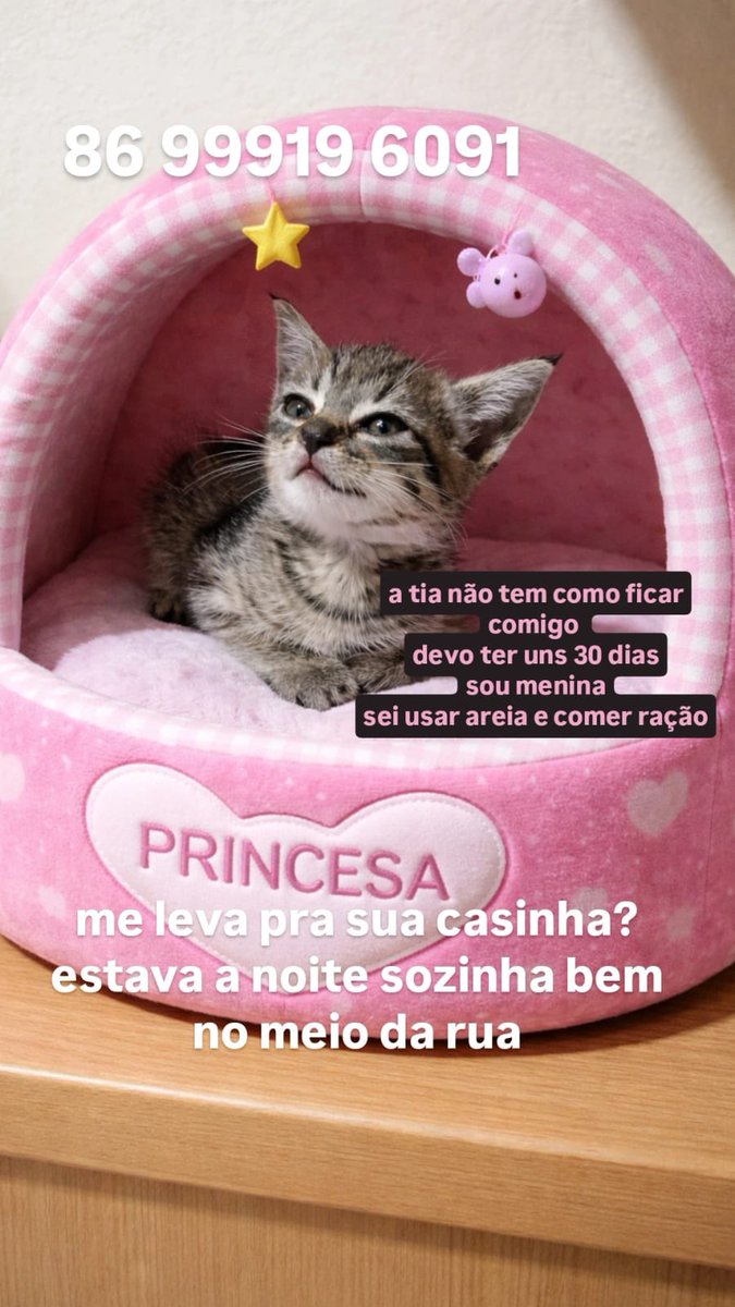 Hariframes tweet media