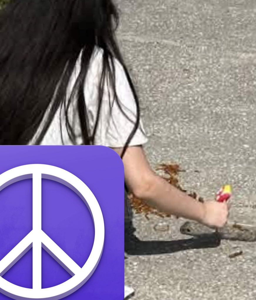 Harvey 🦜🚽 tweet media