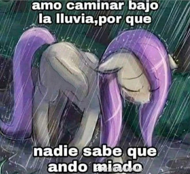 memefeos's tweet photo. https://t.co/PdW0kgiQ9Y