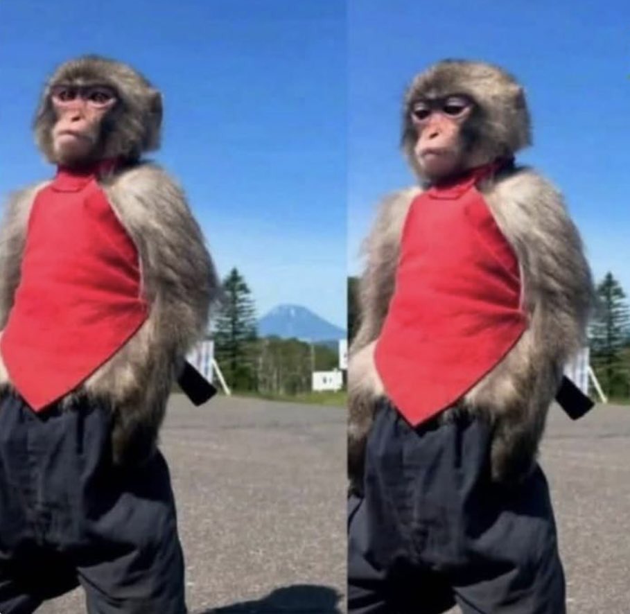 AIDEN™️🇺🇬🇺🇲 tweet media