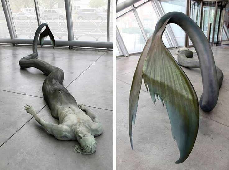 HerodotusWave tweet media