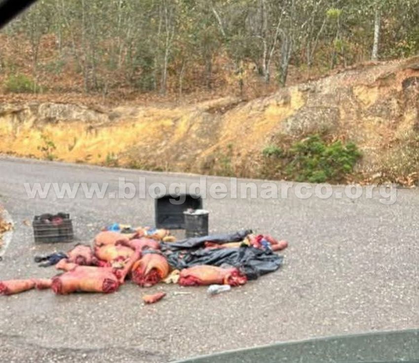 Blog del Narco México tweet media