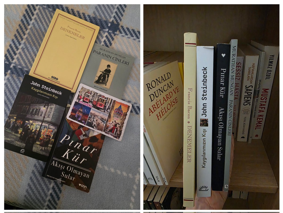 Aysntnsmn tweet media