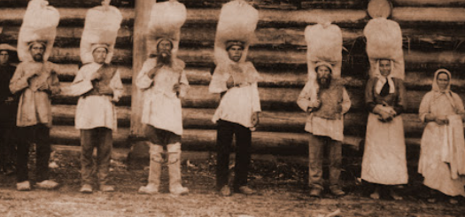 なかしま 敏貴 tweet media