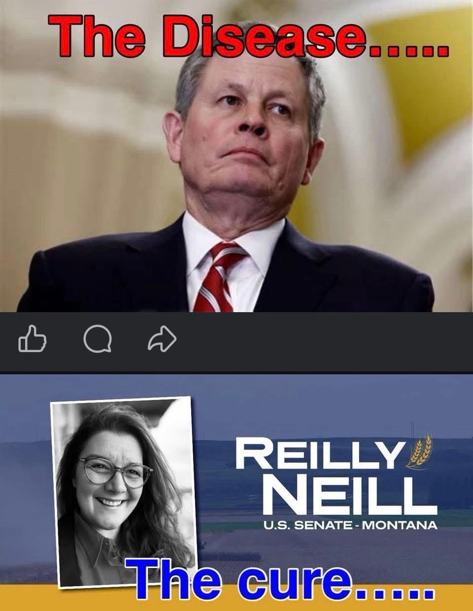 problembear tweet media