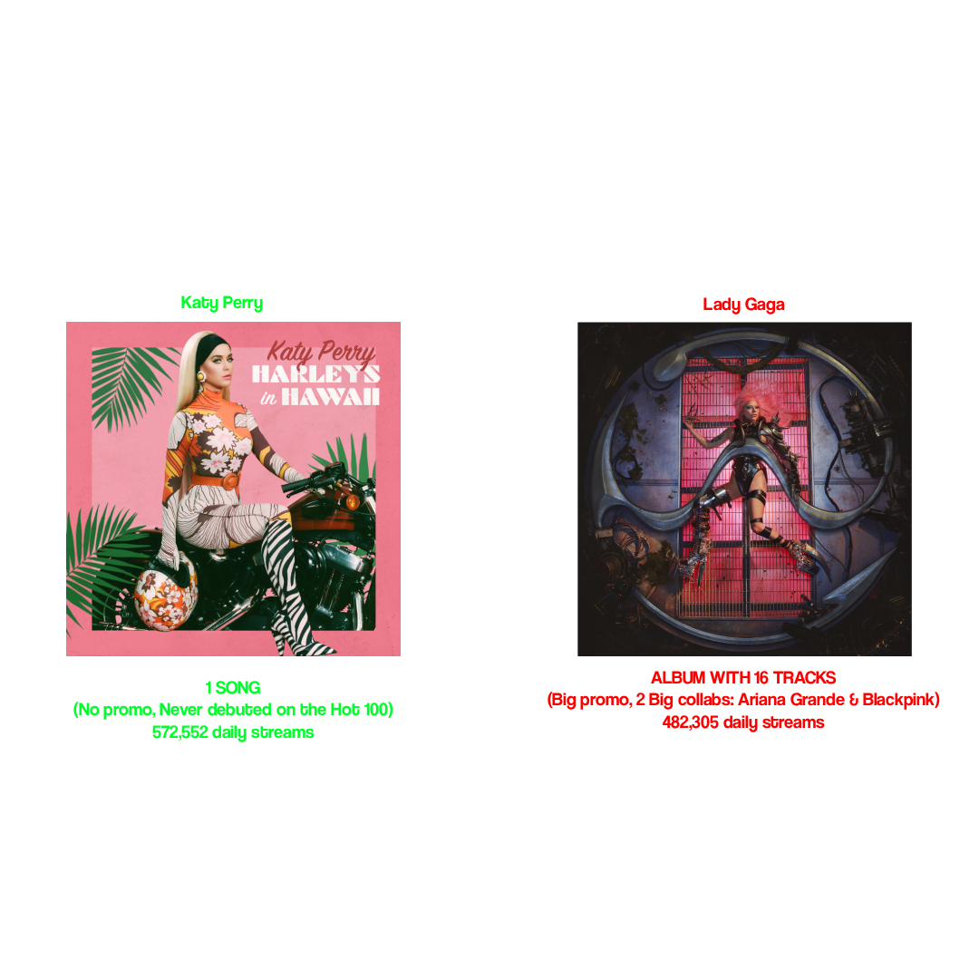 𝐊𝐢𝐭𝐭𝐲🩹 tweet media