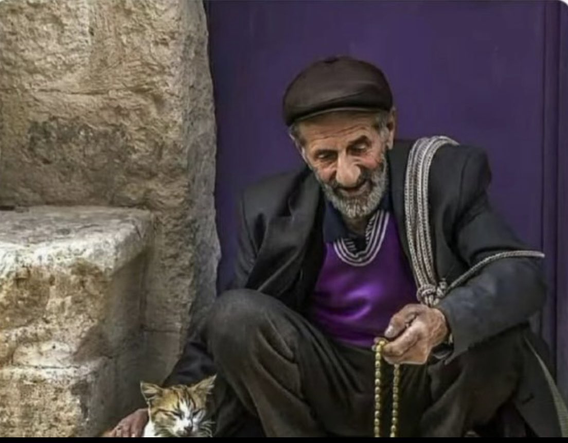 neyhane41 tweet media