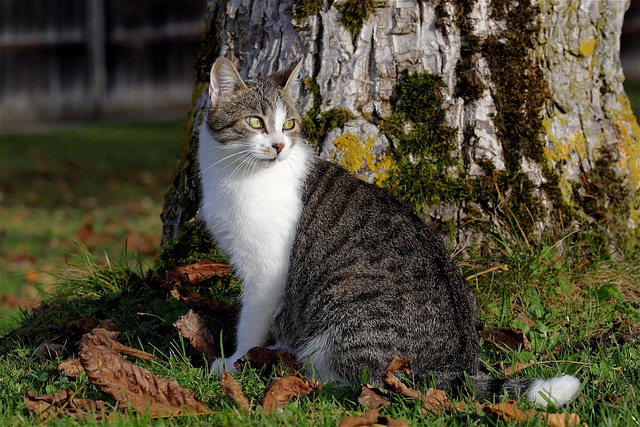 Brian Fam tweet media