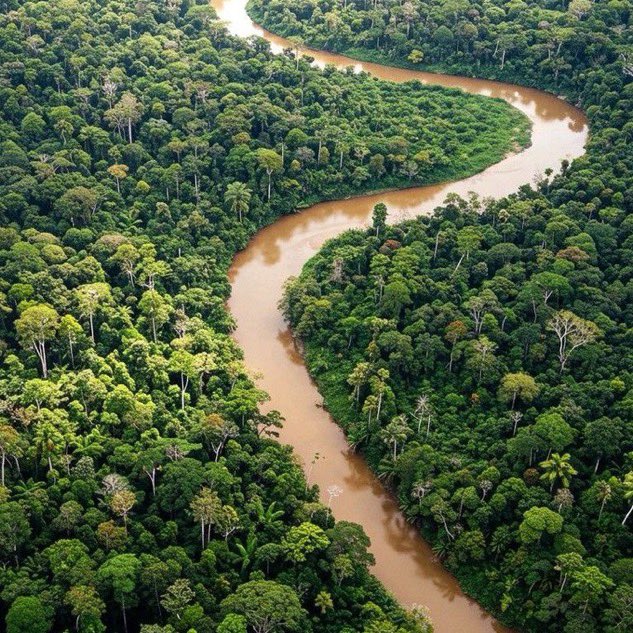 FRENCHRAPUS 🇺🇸 tweet media