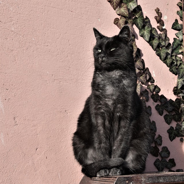 Elizabeth Jones tweet media